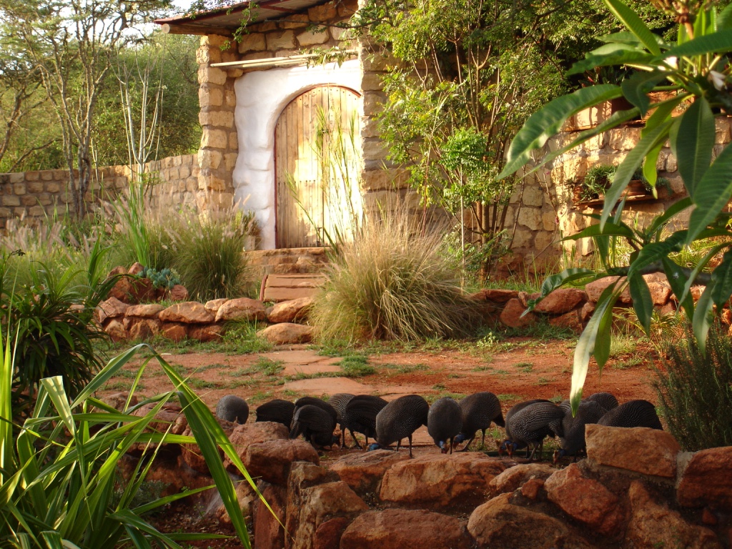 Gallery Image 2